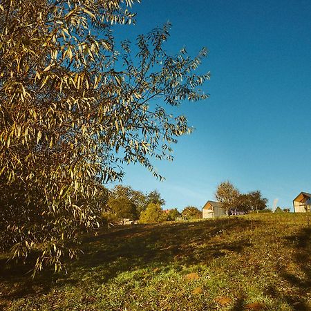 Zărneşti Scandinave Chalet Bran מראה חיצוני תמונה