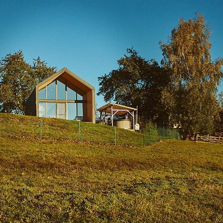 Zărneşti Scandinave Chalet Bran מראה חיצוני תמונה