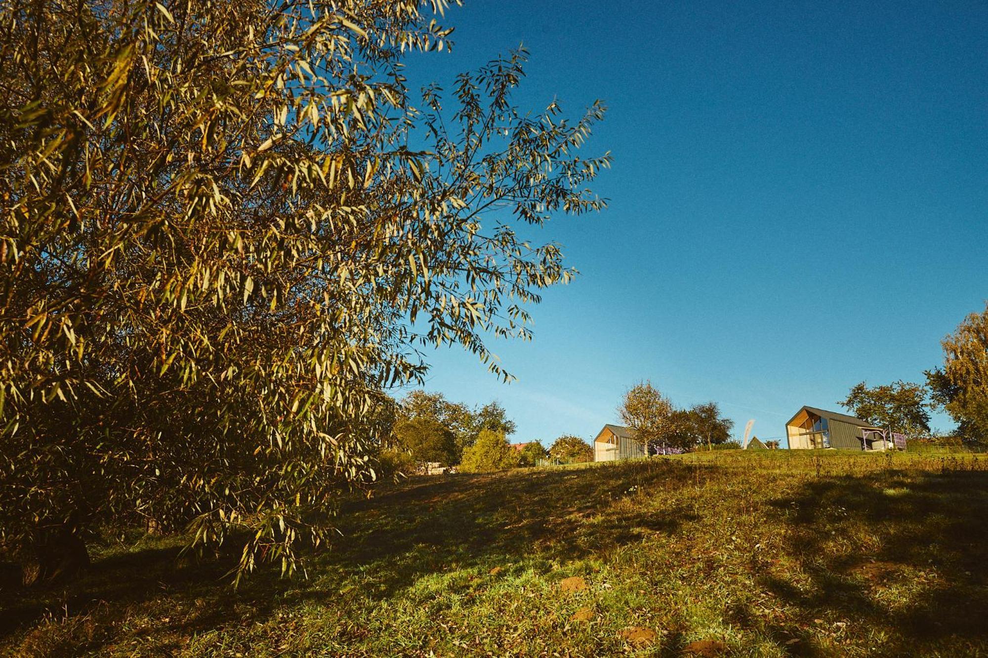 Zărneşti Scandinave Chalet Bran מראה חיצוני תמונה