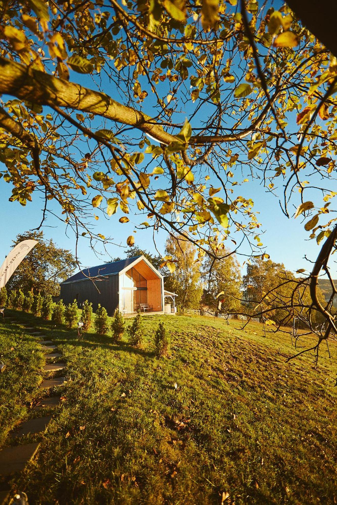 Zărneşti Scandinave Chalet Bran מראה חיצוני תמונה