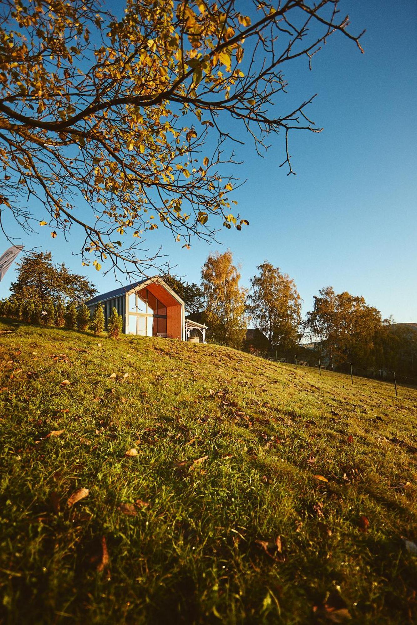 Zărneşti Scandinave Chalet Bran מראה חיצוני תמונה