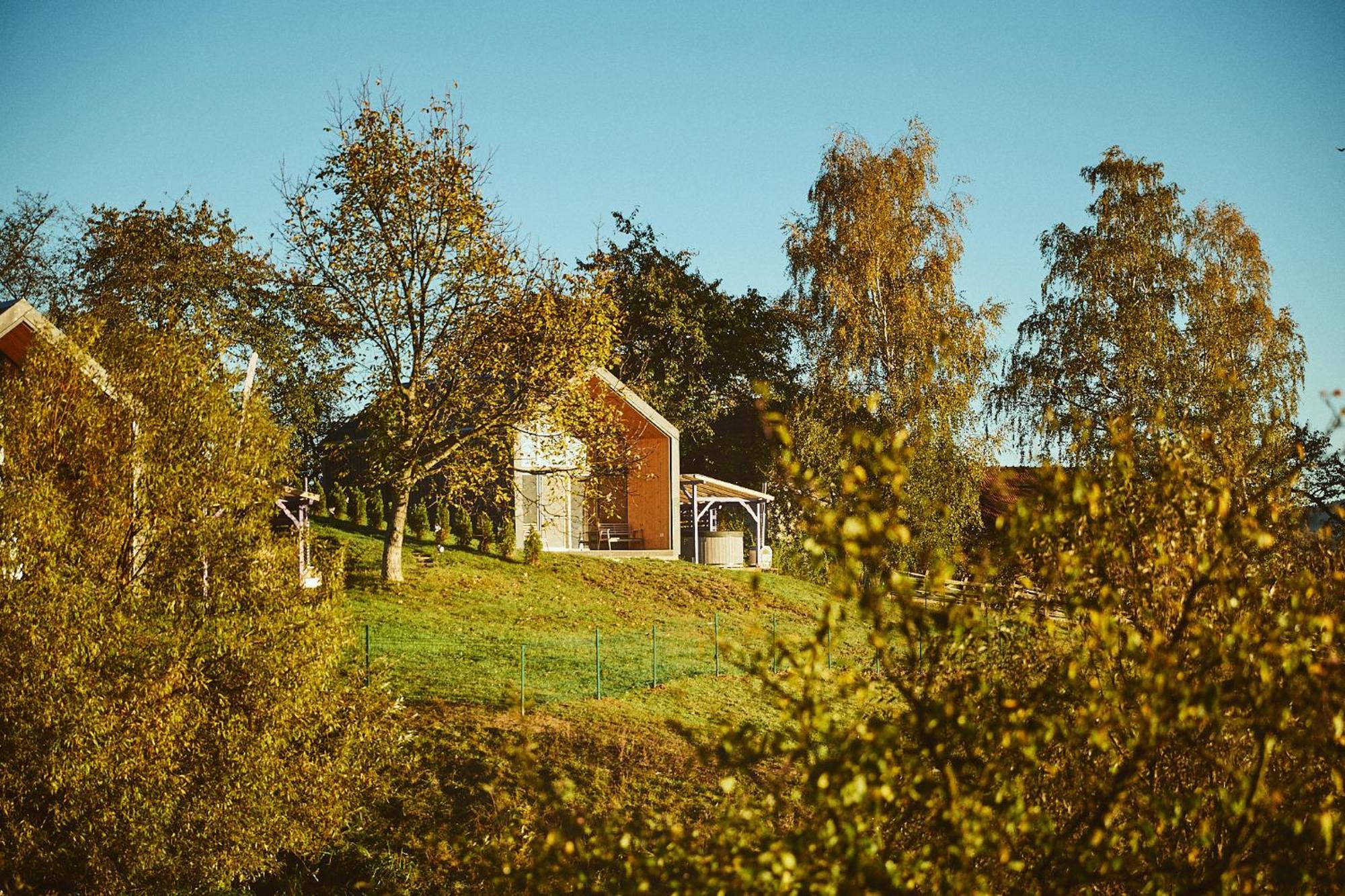 Zărneşti Scandinave Chalet Bran מראה חיצוני תמונה