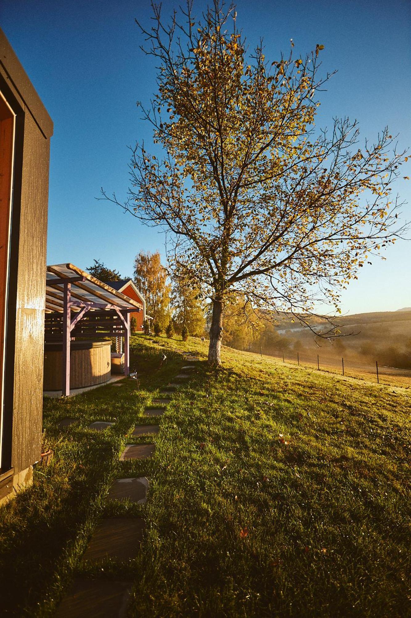 Zărneşti Scandinave Chalet Bran מראה חיצוני תמונה