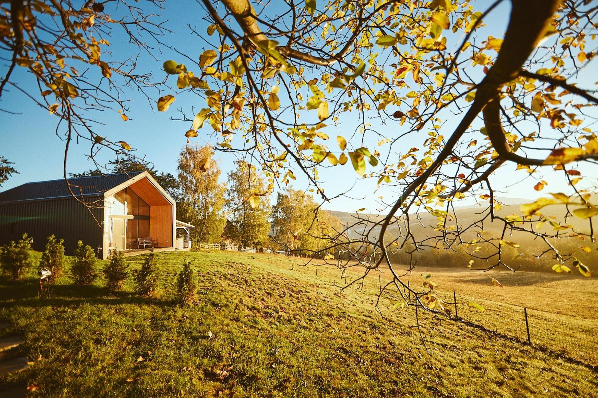 Zărneşti Scandinave Chalet Bran מראה חיצוני תמונה