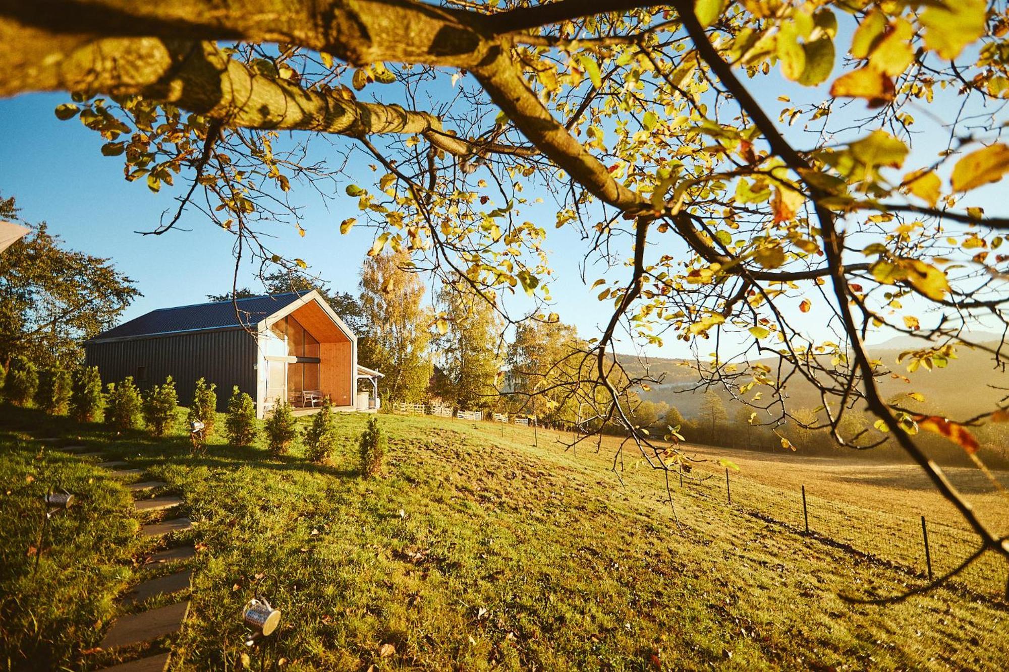 Zărneşti Scandinave Chalet Bran מראה חיצוני תמונה