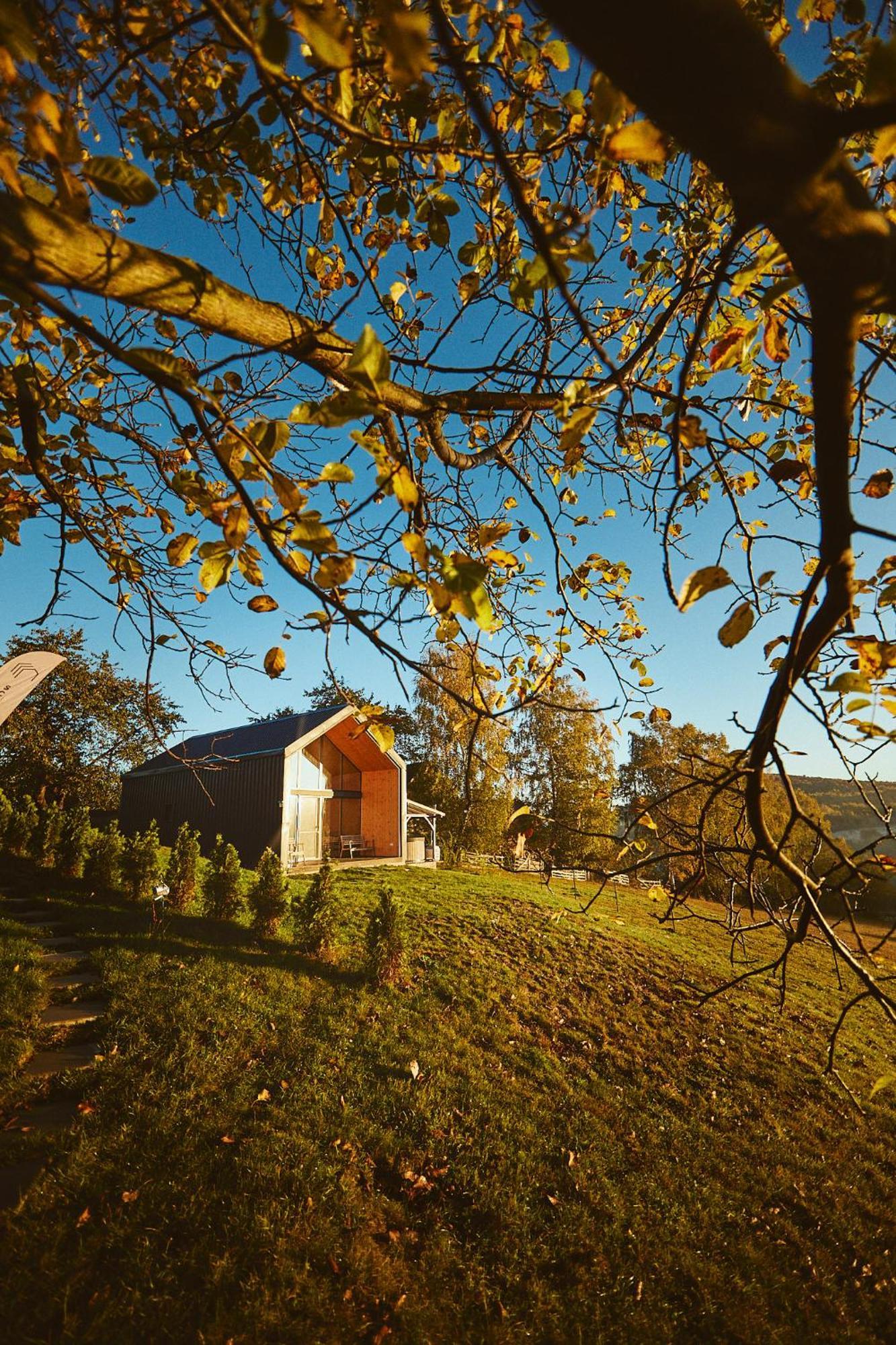 Zărneşti Scandinave Chalet Bran מראה חיצוני תמונה