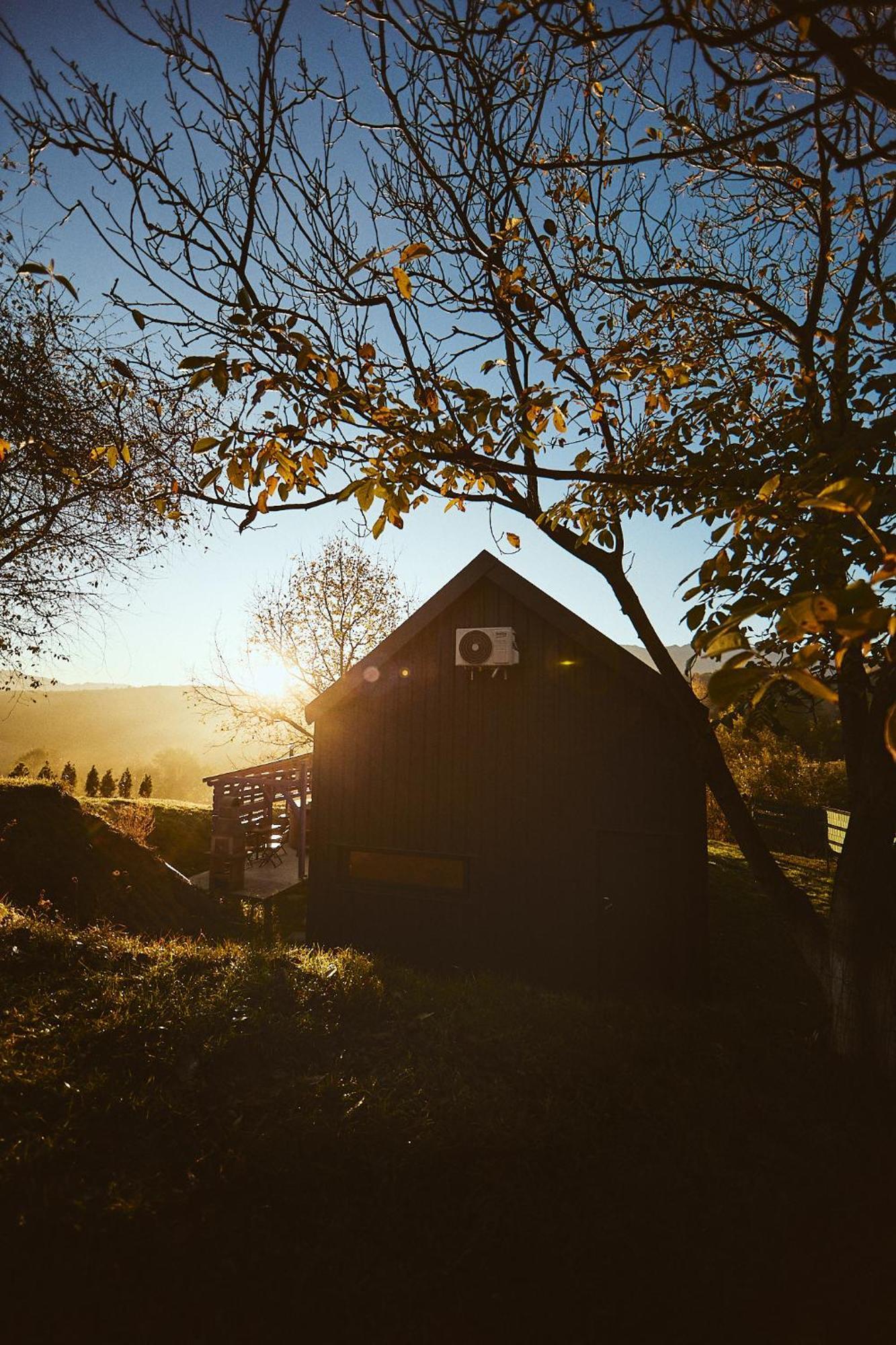 Zărneşti Scandinave Chalet Bran מראה חיצוני תמונה