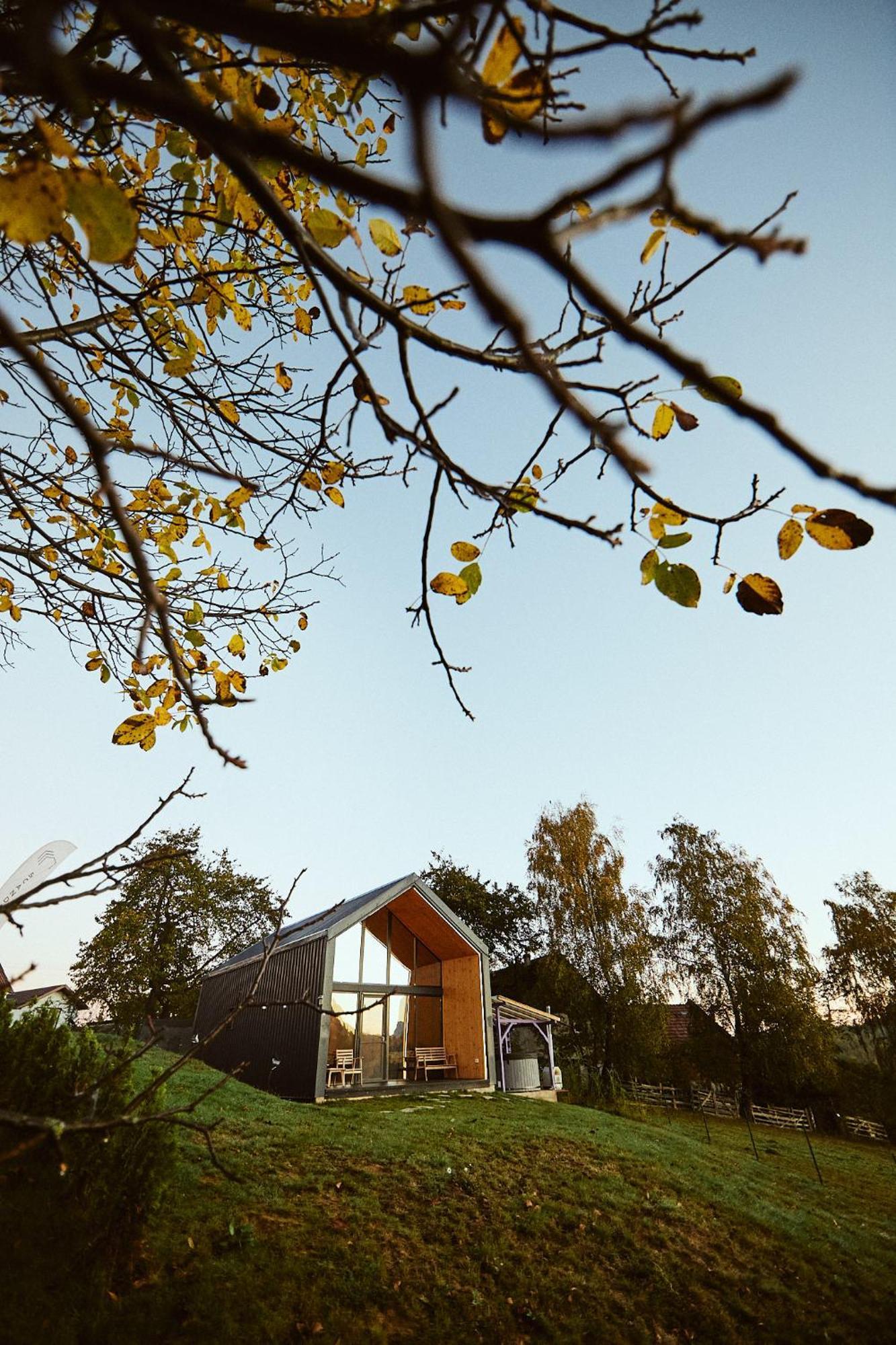 Zărneşti Scandinave Chalet Bran מראה חיצוני תמונה
